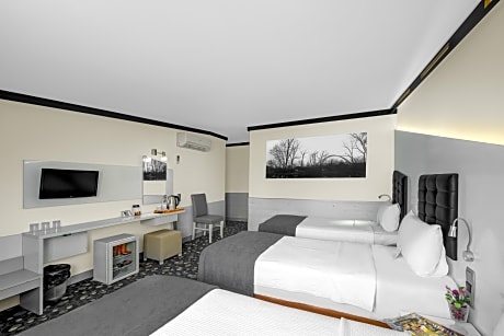 standard single room