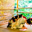 Momijiya Annex