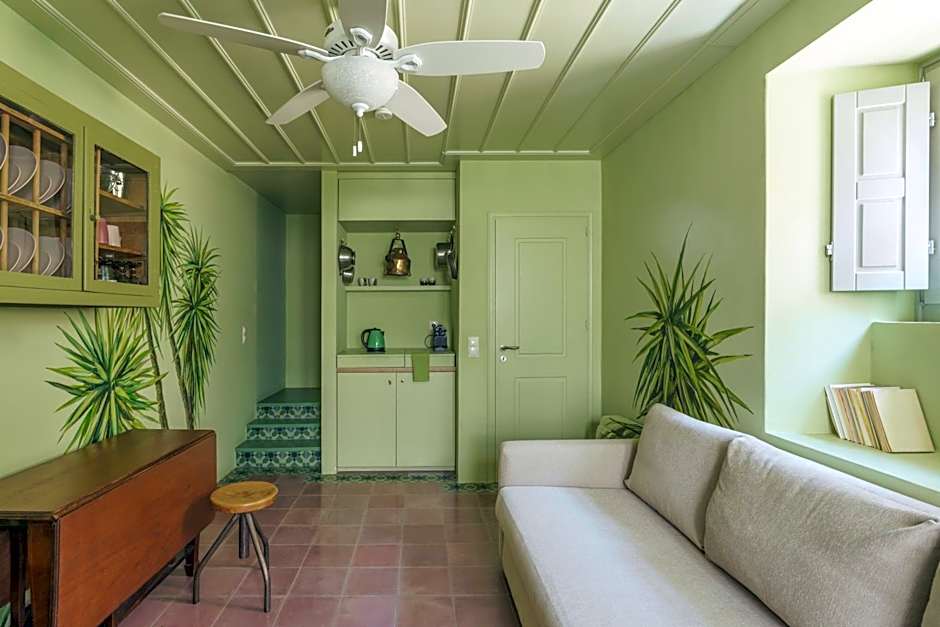 Cactus Hydra - Art Apartments