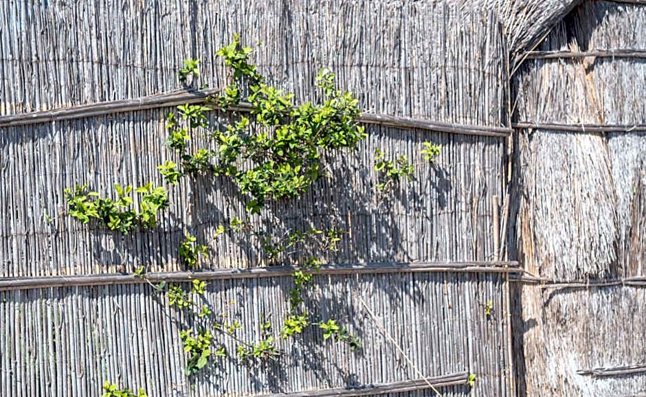 ibis Styles Perpignan Canet En Roussillon