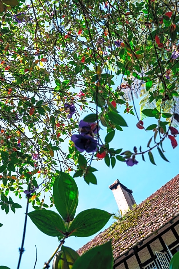 Smokehouse Hotel Cameron Highlands