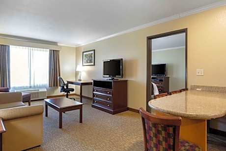 Apartment with King Bed and Sofa Bed - Non-Smoking