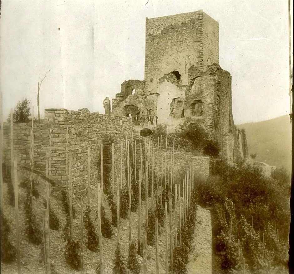 Hotel Burg Arras