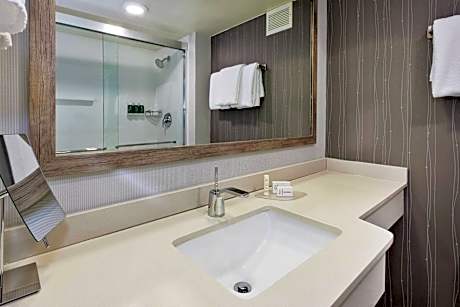 Room, 1 King Bed (Mobility/Hearing Access, Roll-In Shwr) (1 King Bed)