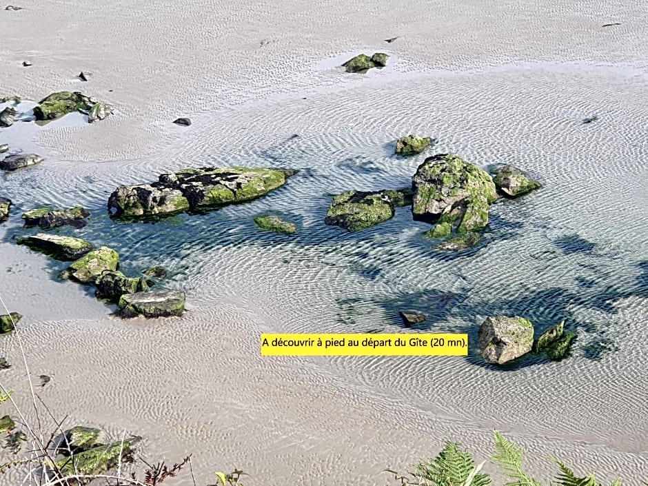 Reflets de la Mer...