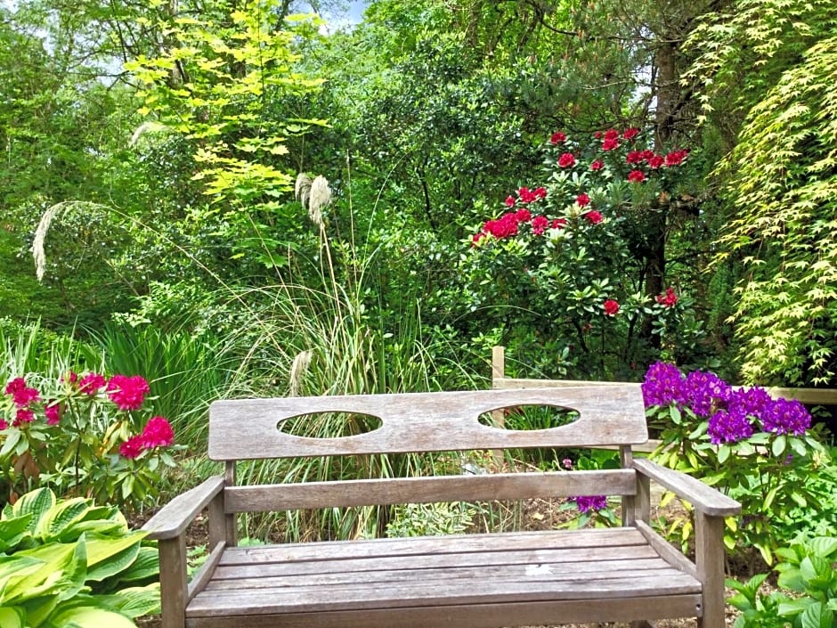 Dwynant - A Room with a View