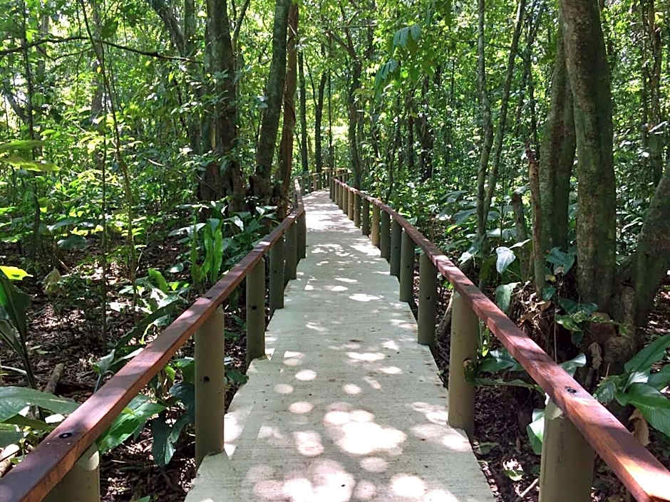 Pachira Lodge