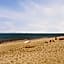 Bribie Beach House with Pool - Walk to Surf & Shops