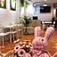tourist Bunny Hostel