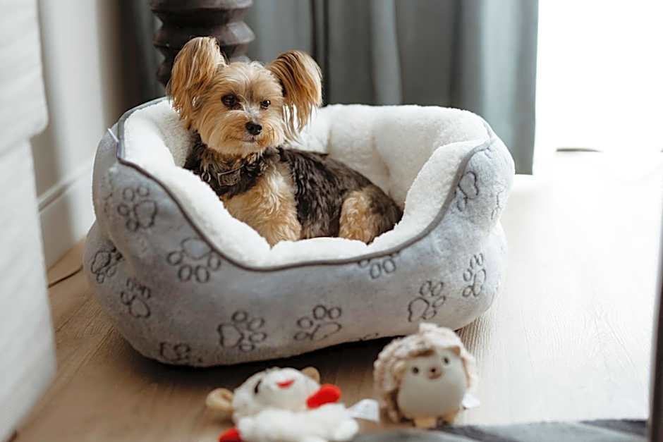 Marriott Long Beach Downtown