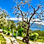 Caselli Vigole al Sole