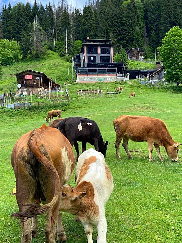 Ayder Villa de Pelit Hotel