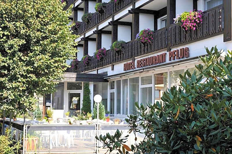 Hotel Pflug