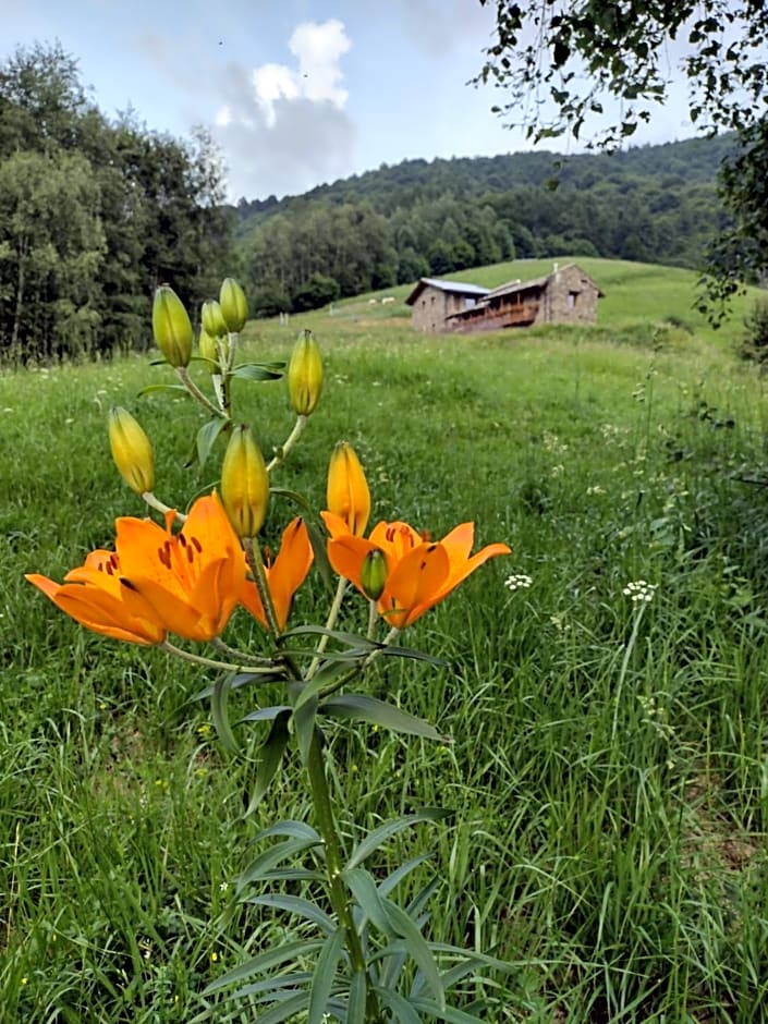 Rifugio Alpino Baudinet - Trek&Relax