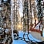 Skyfire Village Igloos
