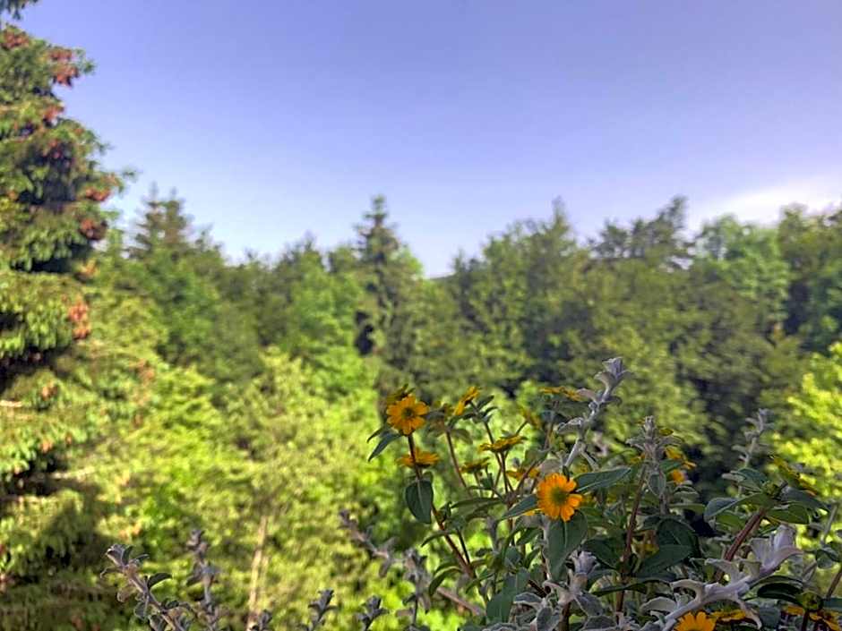 Guesthouse Family Bosnic