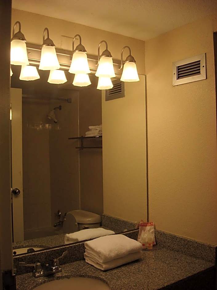 Romana Hotel - Houston Southwest