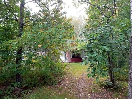 Lindkoski humble Paradise is a house with sauna to enjoy