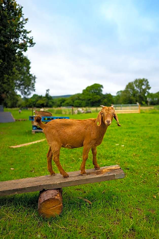 Radisson BLU Hotel and Spa, Limerick