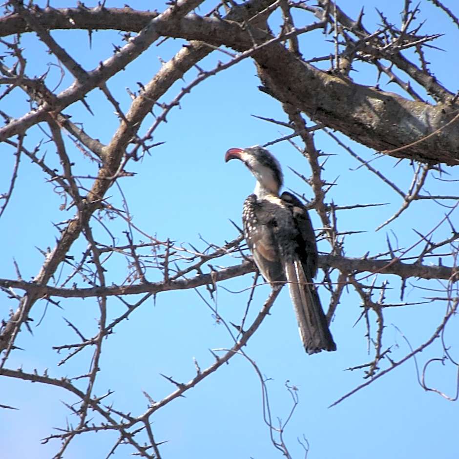 Tausa Tsavo Eco Lodge