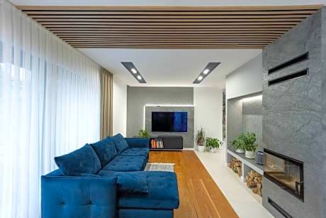 Luxurious villa with pool near Energylandiai