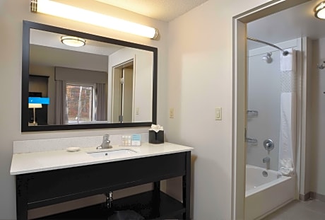 1 King Studio Suite Microwv/Fridge/Wet Bar Ns