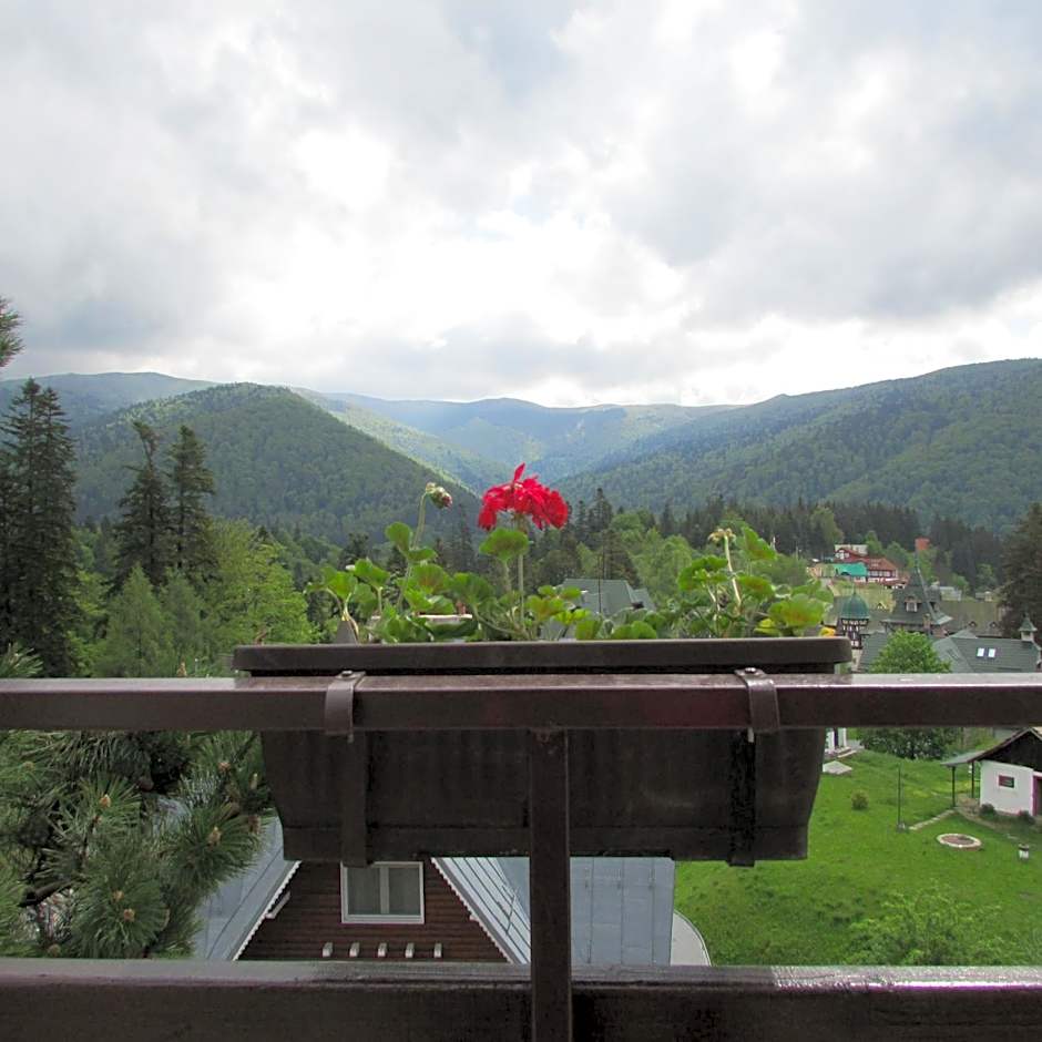 Hotel Marea Neagra Sinaia