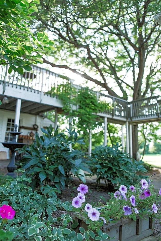 Orchard House Bed and Breakfast