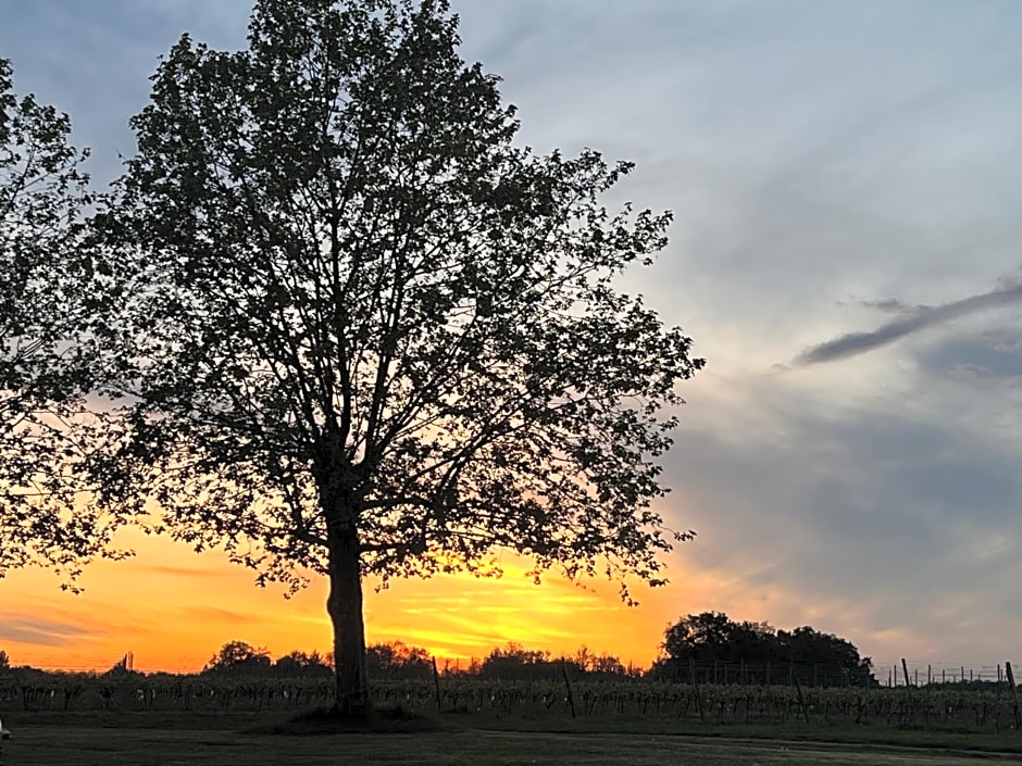 Domaine CANTELOUP