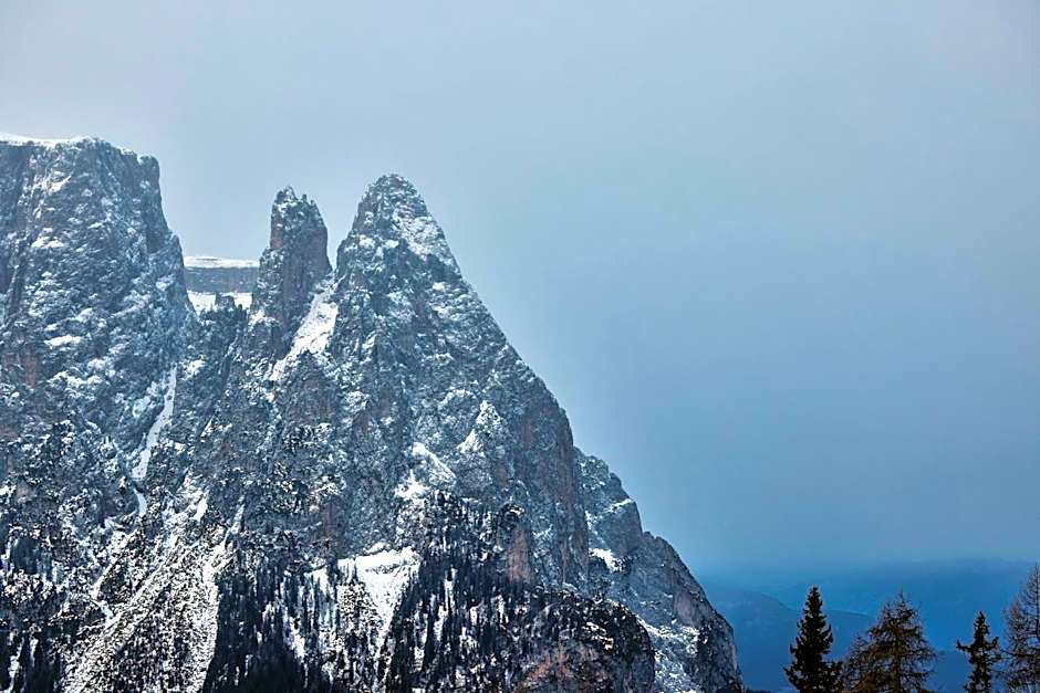COMO Alpina Dolomites