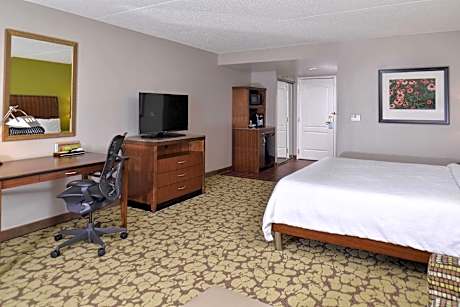 King Room with Sofa Bed and Whirlpool