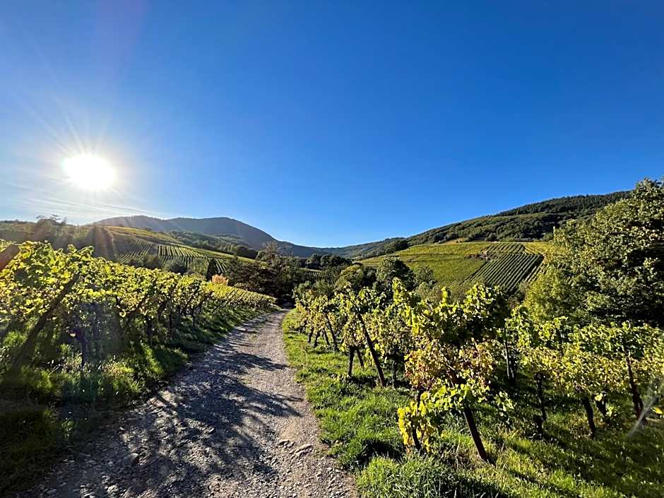 Chambre du Vigneron - Domaine Léon BLEESZ