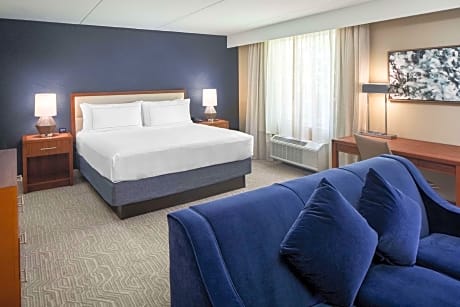 1 King Room Suite