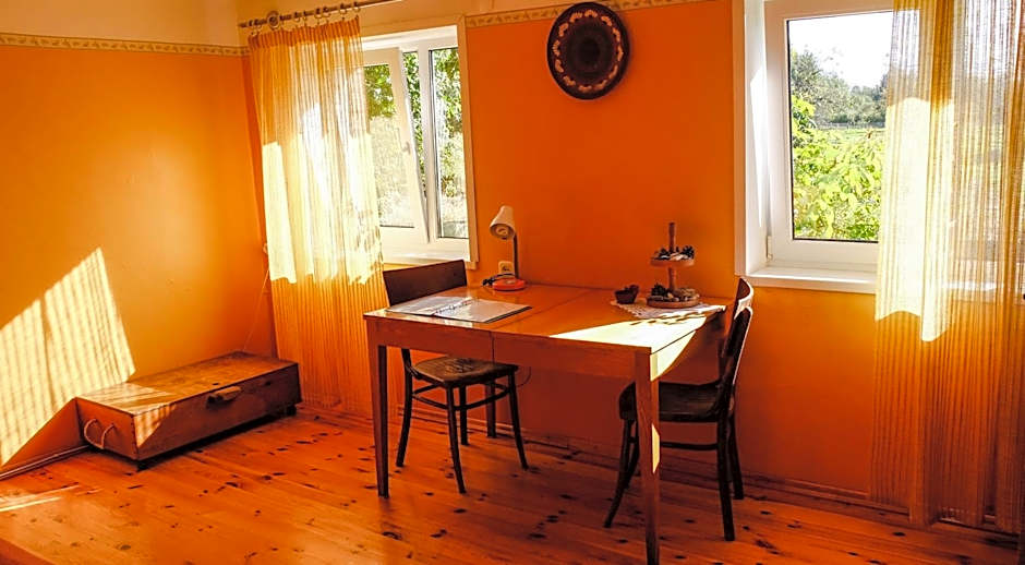 Coastal Home Muini Ūši