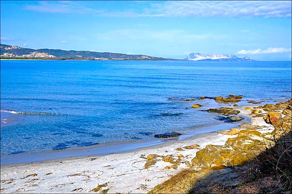 Appartamenti Le Magnolie