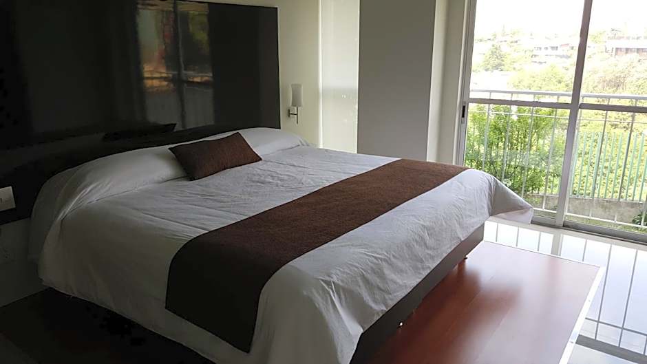 Bosque de Magnolias 93