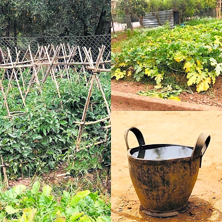 La Vie En Rose - Horses & Dogs House