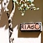 Riad O