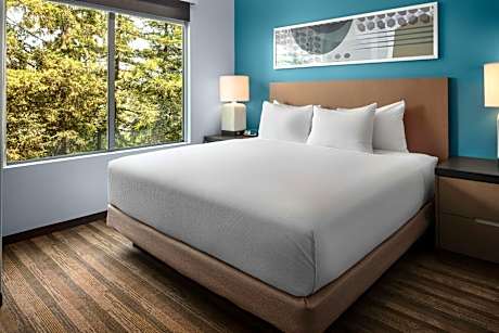 One-Bedroom King Suite with Sofa Bed and Kitchen