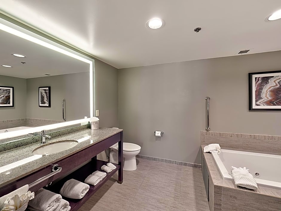 DoubleTree by Hilton Bloomington