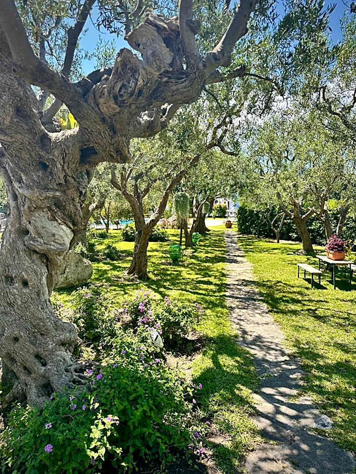 Hotel Boutique Ideal