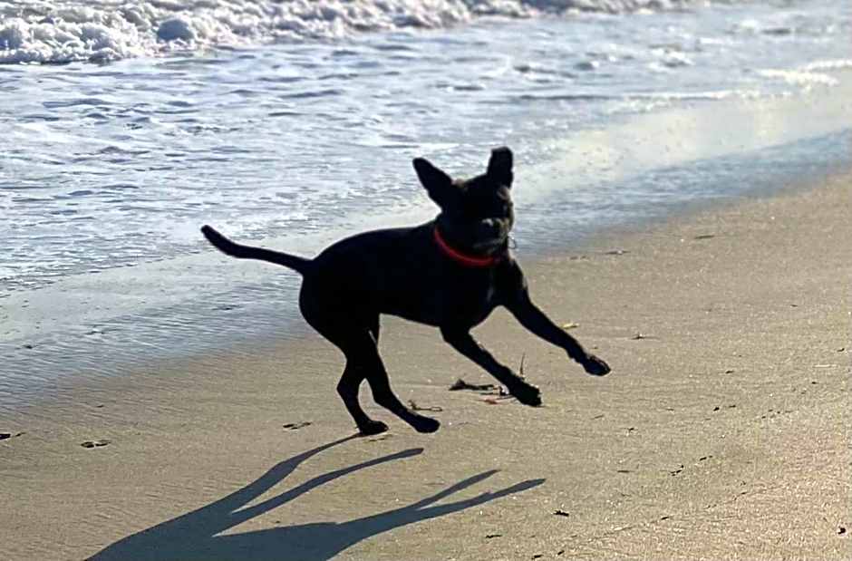 Résidence Ti An Amiral