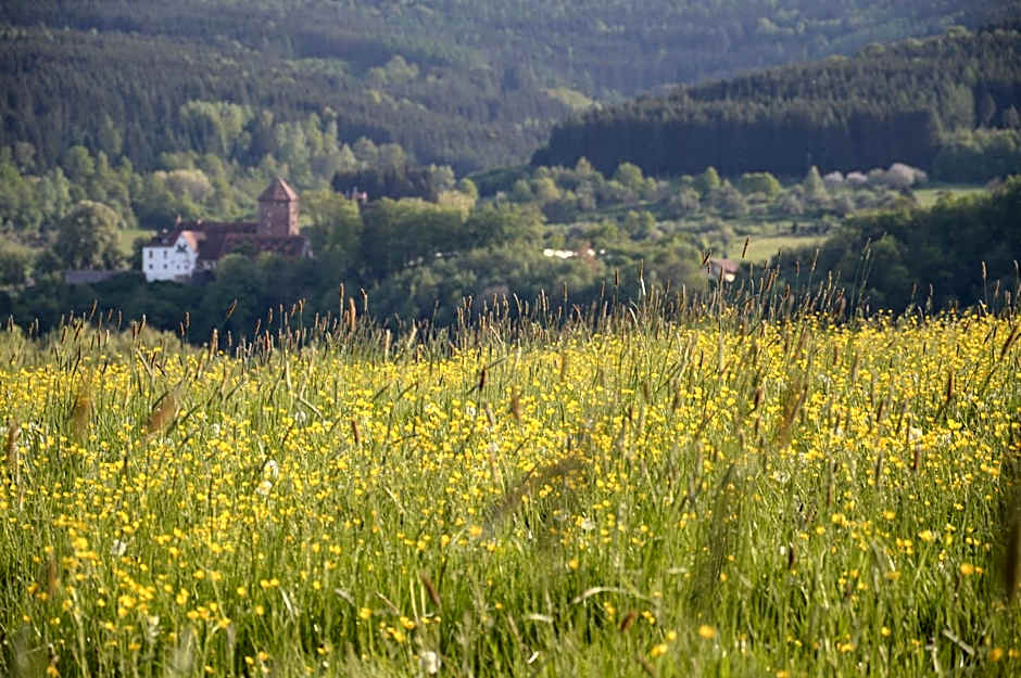 CoHousing Gut Dürnhof
