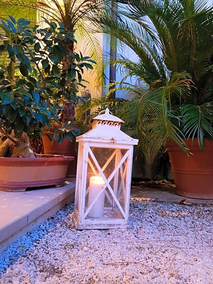 Hotel La Primula