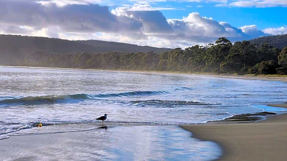 Bruny Island Holiday Park