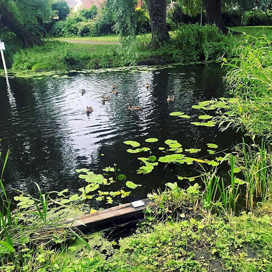 The Swan Inn Newport