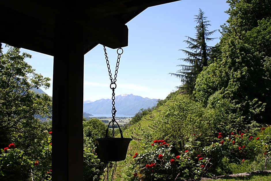 Tenuta Casa Cima - tenutacasacima com -