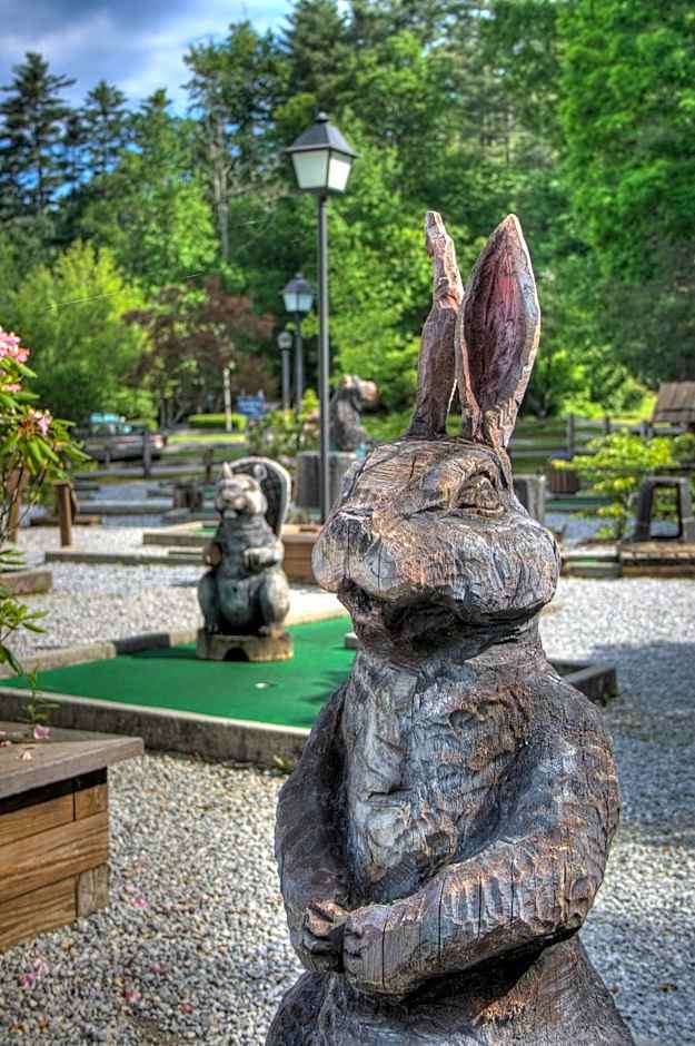 Foxhunt at Sapphire Valley