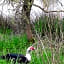 Chambres d'hôtes du Moulin de la Chaussee