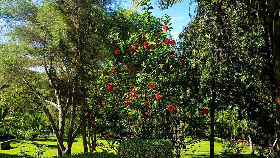 LUSHOTO EXECUTIVE LODGE